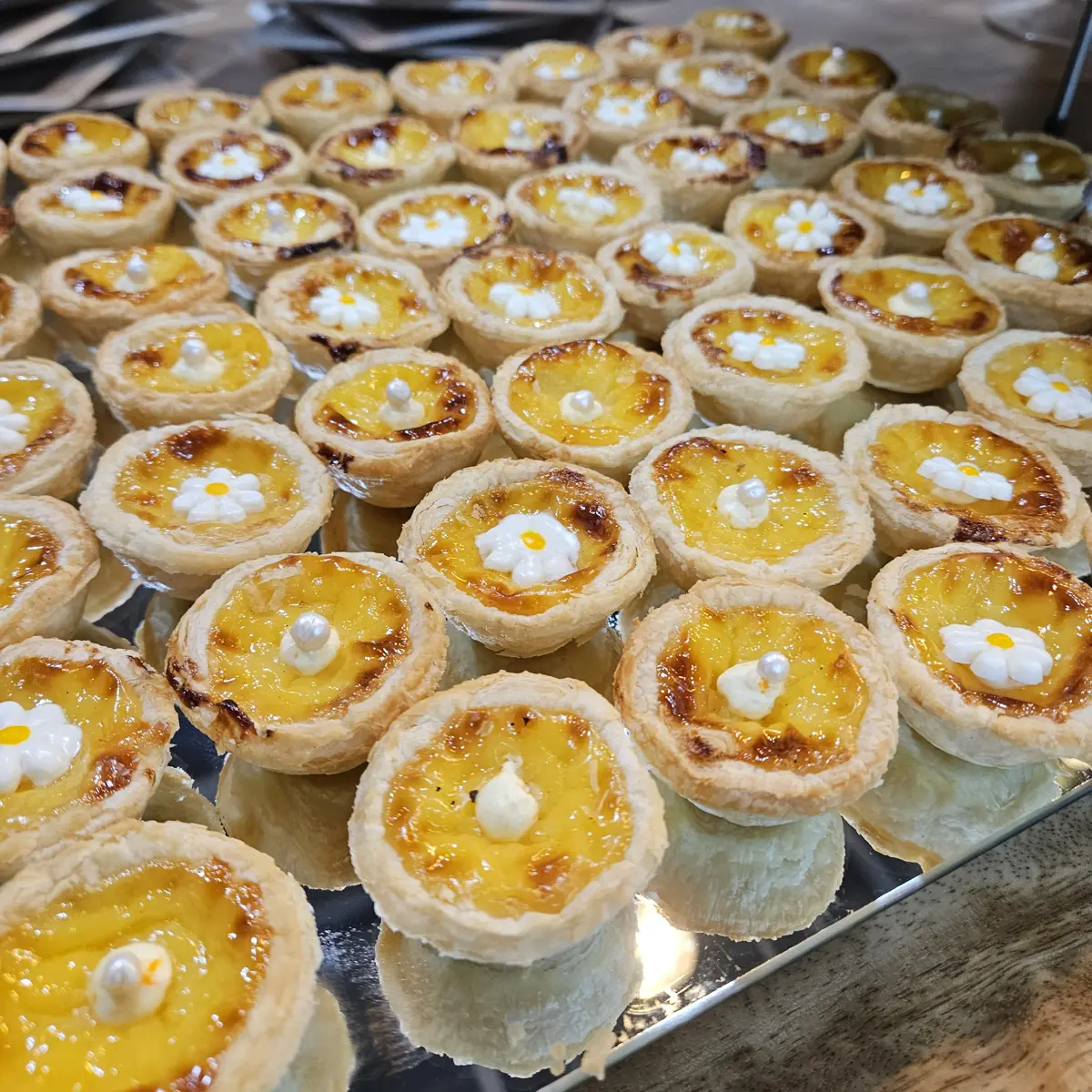 미니 퀴시 투자자 설명회 커피 다과 케이터링 진행 단계